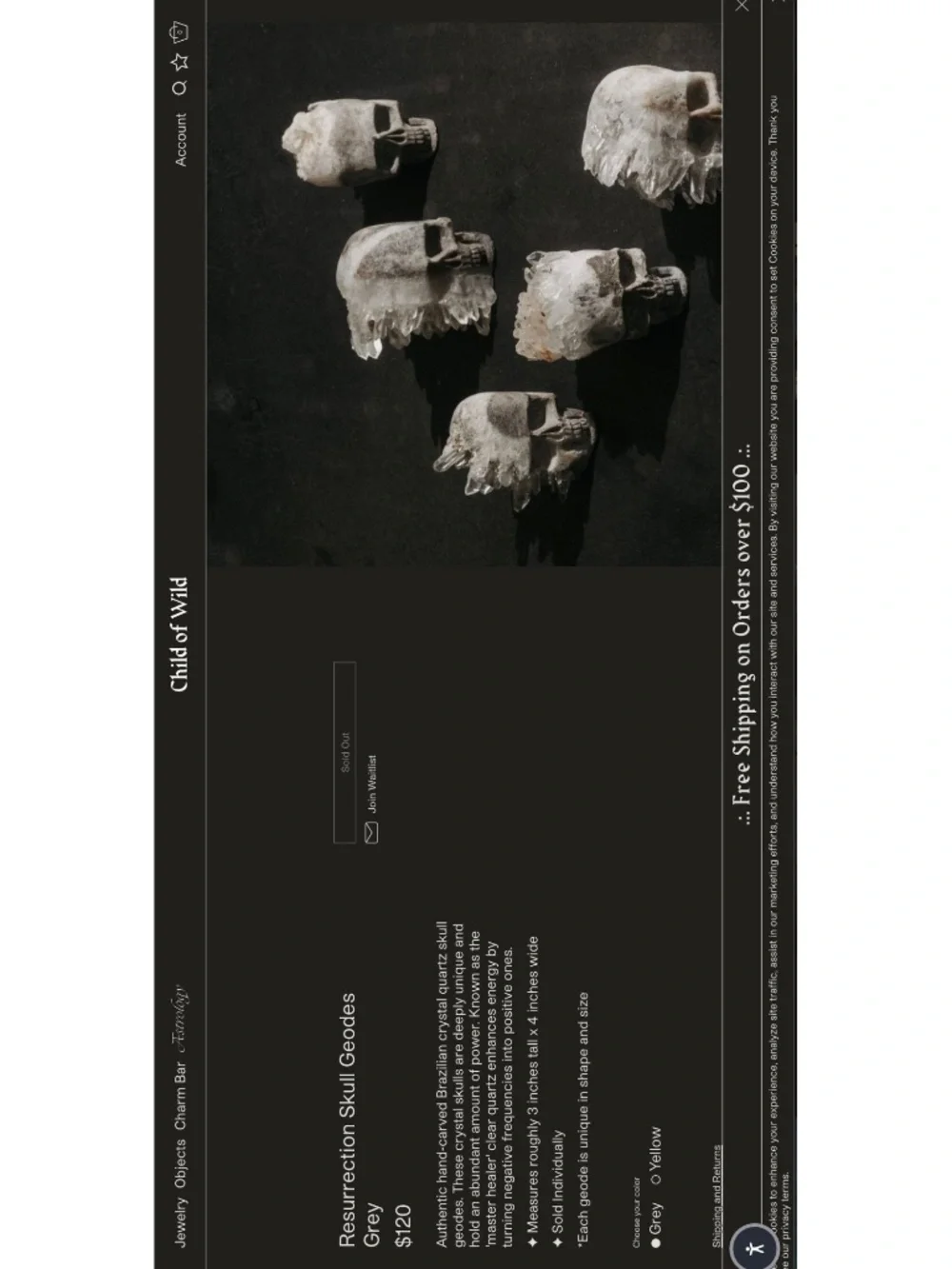 Child of Wild Resurrection Skull Geodes Skull Quartz decor quartz geode